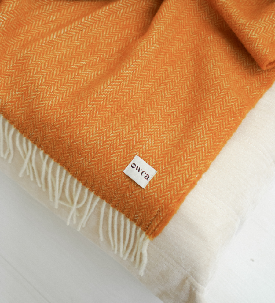 38fc323f742c83e93d87c57931a8099a