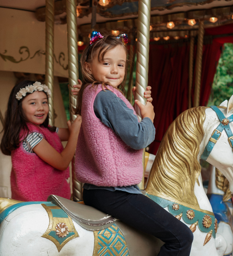 7009d7d317a268479a8c54660fad5833