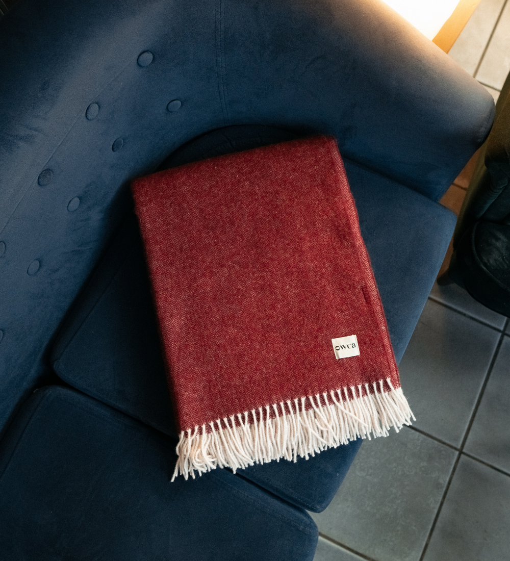 72c0bf65d83bbe4cb2c3276f2eba25fc